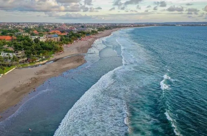 Asoka Bali